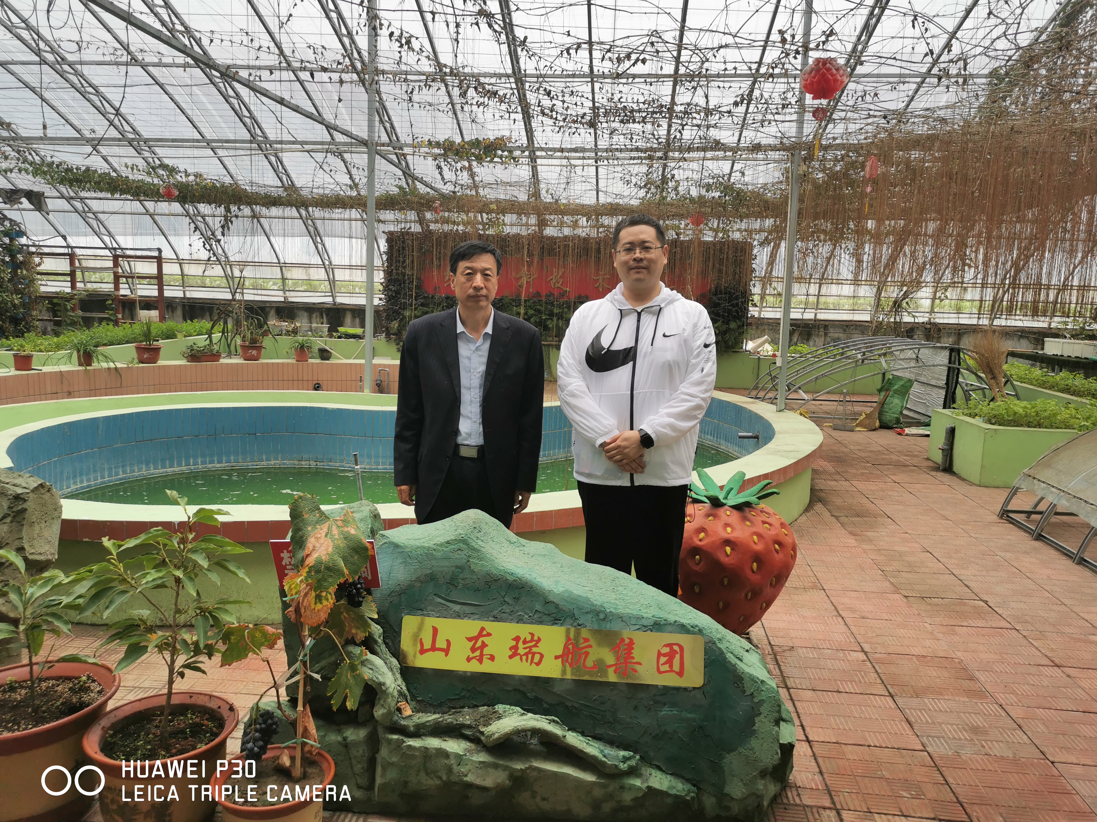青岛农业大学园艺学院王富教授来公司调研洽谈合作